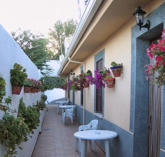 apartamentos rosy | Ayuntamiento de San Martín de la Vega