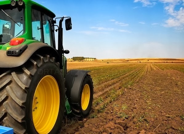 Plazos para la adjudicación de fincas comunales y huertos de ocio en el Soto del Tamarizo