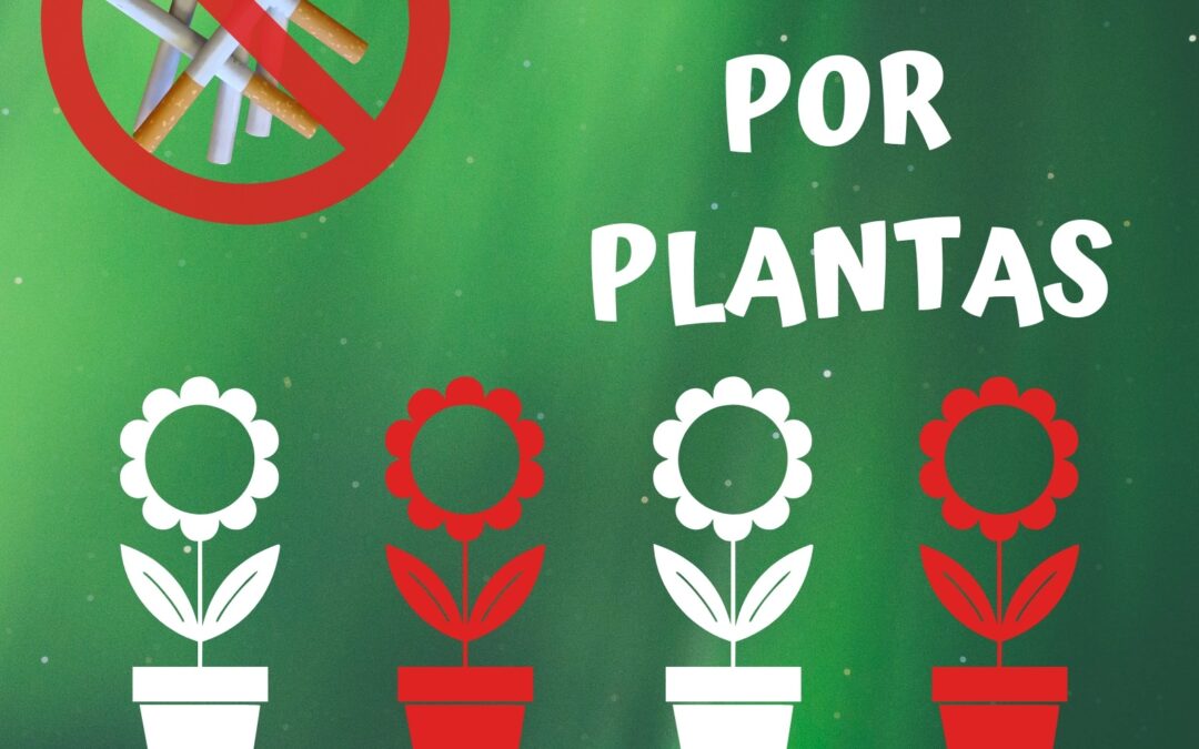31 de mayo «día mundial sin tabaco»
