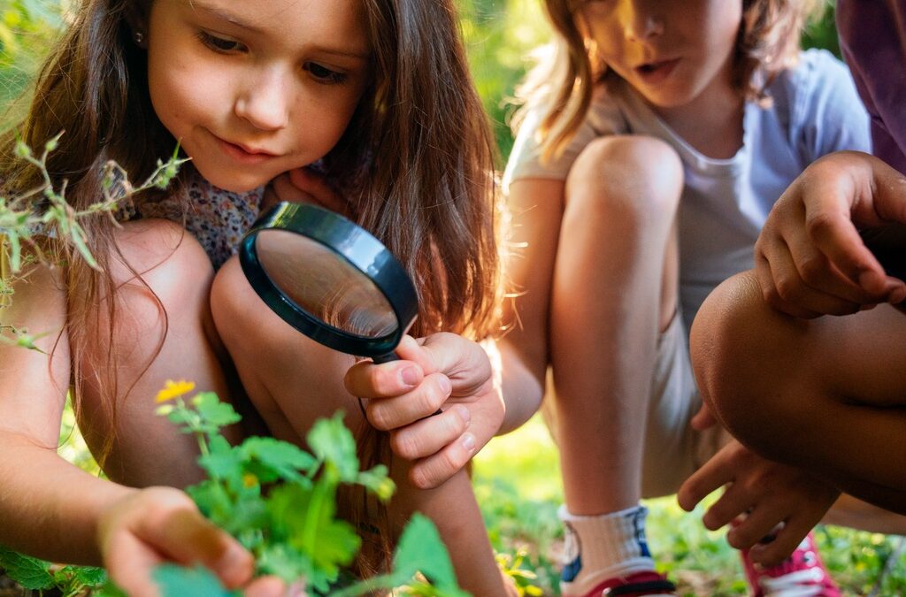 Llega «Eco Aventuras», el campamento gratuito para los días no lectivos de septiembre