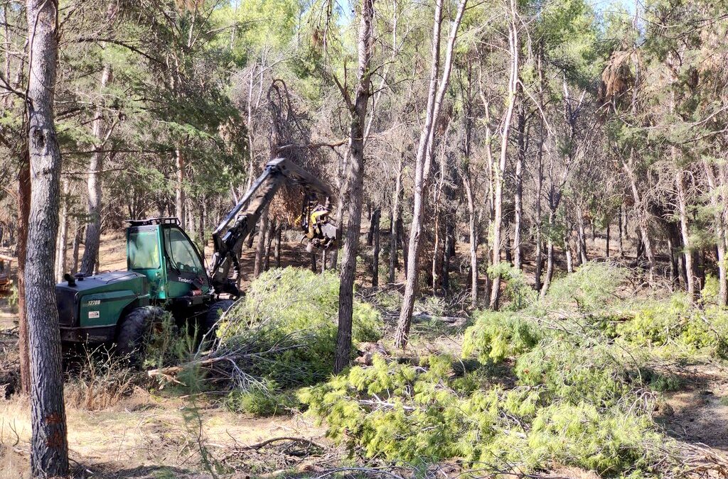 Comienzan los trabajos de limpieza y desbroce de los bosques de Gózquez