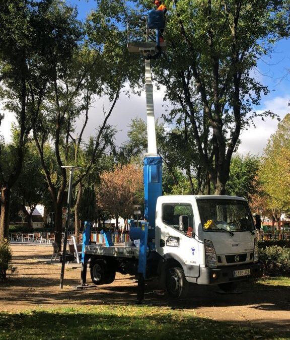 Comienza la campaña anual de poda en diferentes zonas del municipio