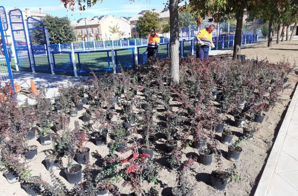 Dan comienzo los trabajos de embellecimiento en diferentes zonas verdes del municipio