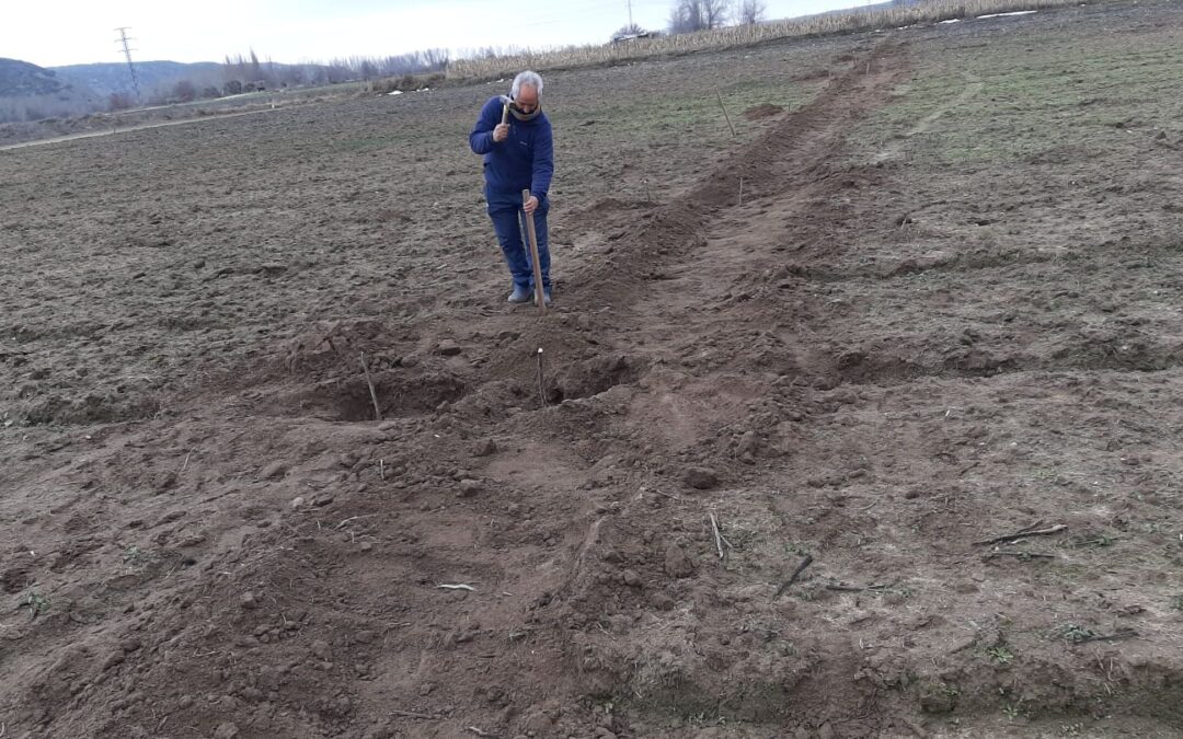 Listado provisional Sorteo parcelas vacantes de la finca comunal “Soto del Tamarizo”  y huertos de Ocio